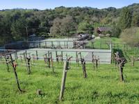 img_001_0099_187  wine and tennis.jpg