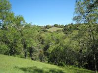 IMG_1409.JPG