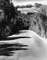 PVR-002c1p_TIF_MSTR.tif