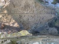 IMG_3436 2.jpeg