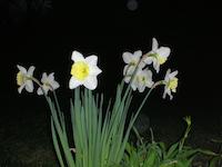 DSCN2357.JPG