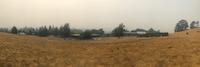 image5.jpeg