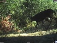 image002.jpg