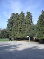 IMGP9257.JPG