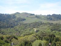 IMG_1443.JPG