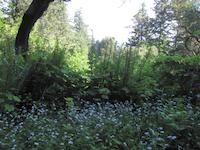 Windy Hill__9170.JPG