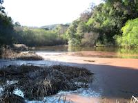 Sausal Lake 2.JPG