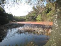 Sausal Lake.JPG