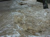 SEA-D-020d_JPG_MSTR.jpg