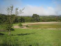 Breiner Frog Pond 2007.JPG