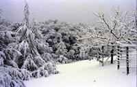 STO-044d Snow on Cheyenne Ct.png