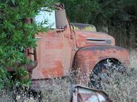 IMG_3381.jpg