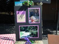 DSCN0996.JPG