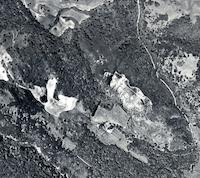Blue Oaks (Mariani) 1948.jpg