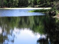 Pond at Lake trail.JPG