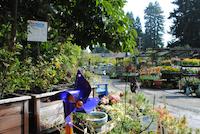 DSC_0537.JPG
