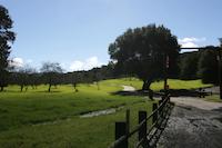 Morsehead gate 2.jpg
