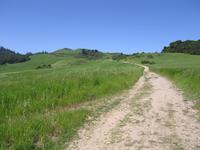 Trail on Windy Hill_9224.JPG
