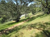 IMG_1411.JPG