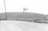 ROA-031p_TIF_MSTR.tif