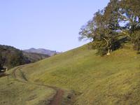 Deer Path vista.JPG