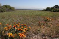IMG_7072.JPG