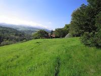 img_001_0120_208  Lush grasses.jpg