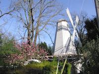 00 Windmill Portola Road.jpg