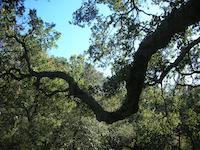 DSCN2988.JPG