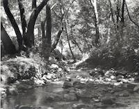 Corte Madera Creek.tif