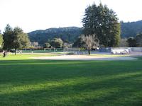 IMG_0124.JPG