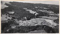 Sequoias & Flax Barn - aerial view.jpg