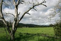 Medow Portola Rd 3.jpg