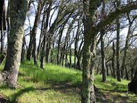 img_001_0089_174 Deer Path glen.jpg