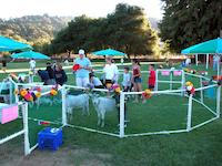 DSCN0161.JPG