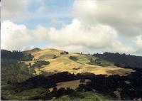 Spring ridge.tif