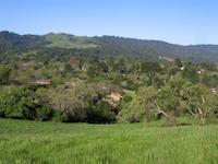 img_001_0164_255  Saddleback.jpg