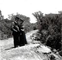 Alpine Road May, 1906.jpg