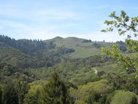 IMG_1440.JPG