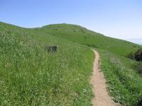 Windy Hill__9209.JPG