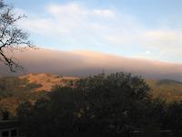 Wind Hill mist.JPG