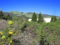 img_001_0213_42 Coalmne Ridge crest 149.jpg