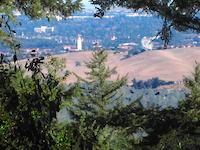Portola Valley scene 4200.JPG