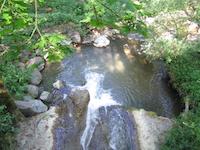 Windy Hill__9162.JPG