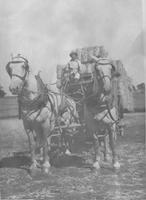 FAR-012c1p TIF_MSTR.tif