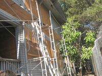 1a - IMG_1896 e.jpg