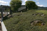 img_001_0138_226   Residence landscaping.jpg