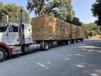 HOR-S-022d hay delivery.jpg