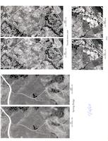 AER-034c1p_3 stereo pairs, Town Center, top of Spring Ridge, Alpine Hills area.tif