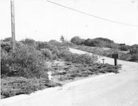 FIR-025p_TIF_MSTR.tif